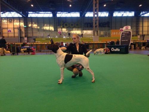 2014-Crufts-Doctor-Do-Little-1